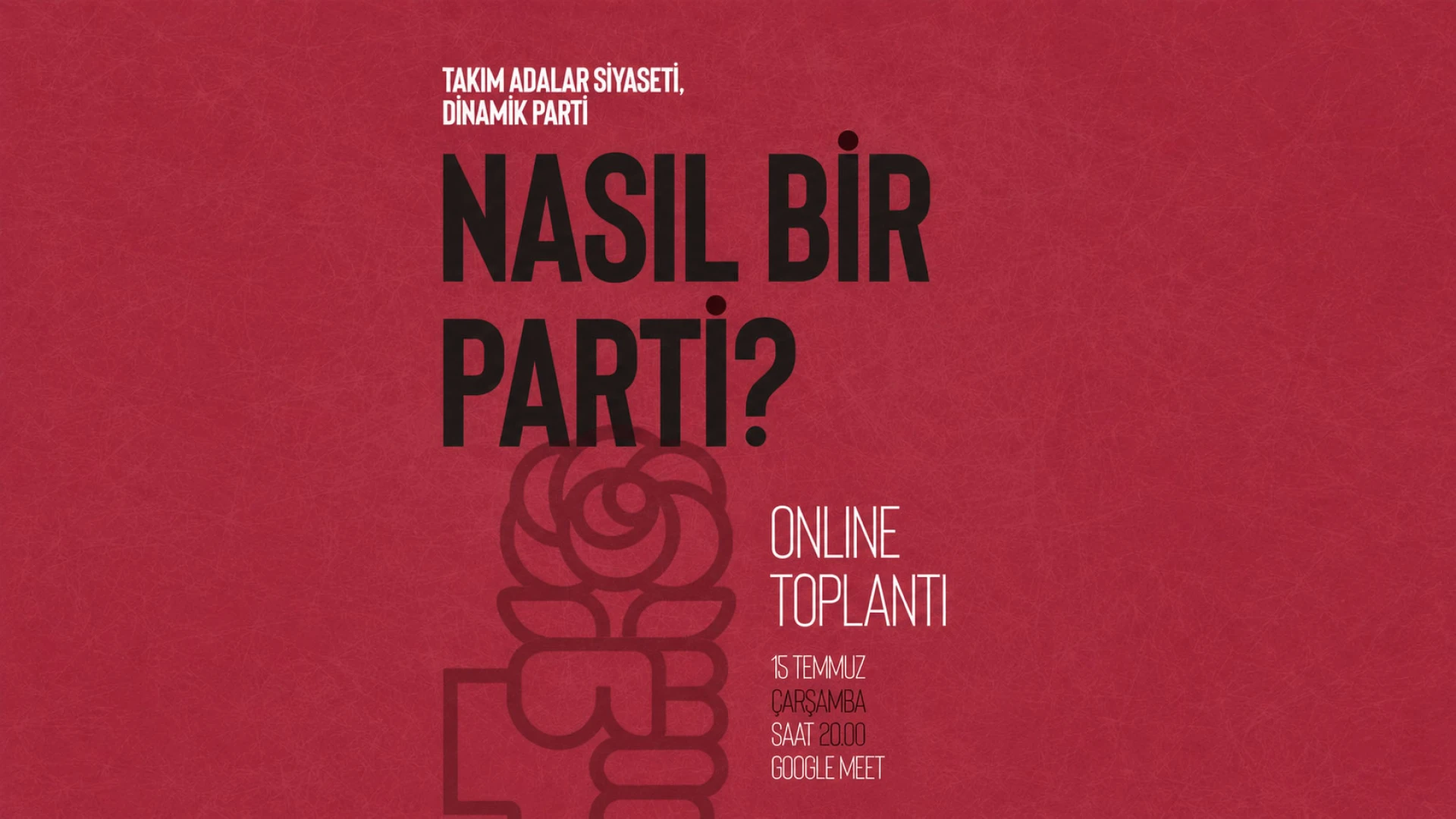 Nasıl Bir Parti?
